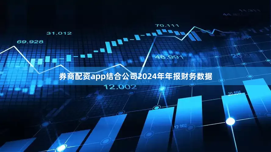 券商配资app结合公司2024年年报财务数据