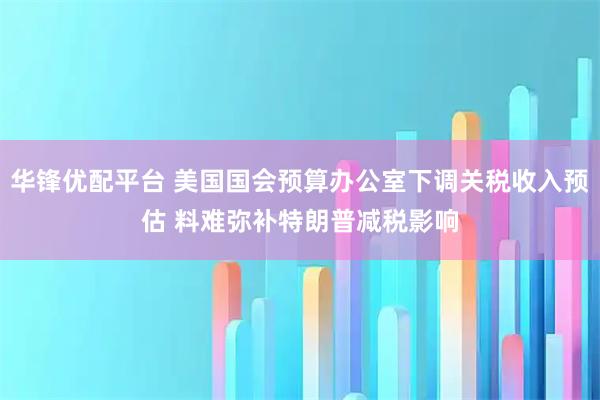 华锋优配平台 美国国会预算办公室下调关税收入预估 料难弥补特朗普减税影响