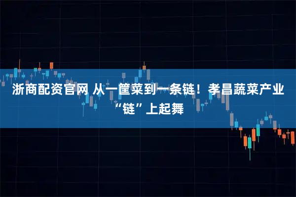 浙商配资官网 从一筐菜到一条链！孝昌蔬菜产业“链”上起舞