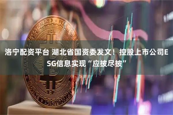 洛宁配资平台 湖北省国资委发文！控股上市公司ESG信息实现“应披尽披”